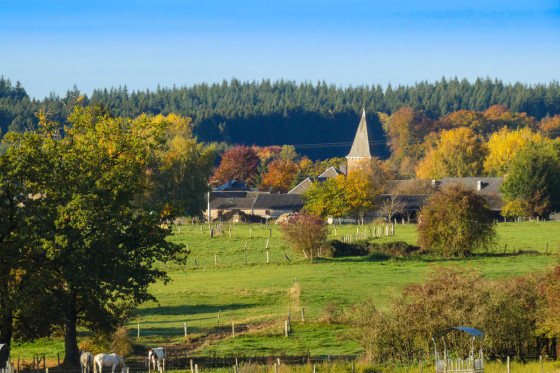 Commanster forme une clairère agricole au centre de la forêt du Grand-Bois