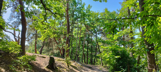Comme un air de Provence