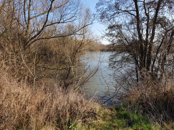Confluent de l'Andelle et de la Seine