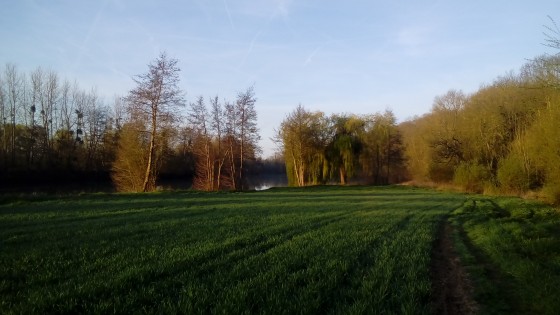 Confluent de la Marne et de l'Ourcq