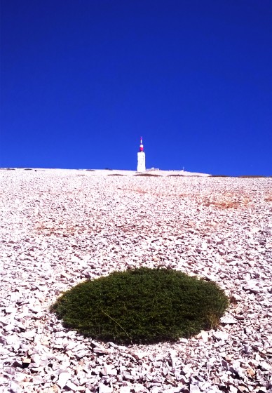 Contrastes