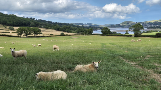 Conwy Valley
