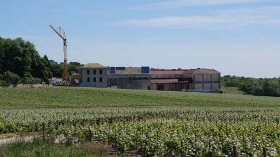 008-Coopérative vinicole de Trigny