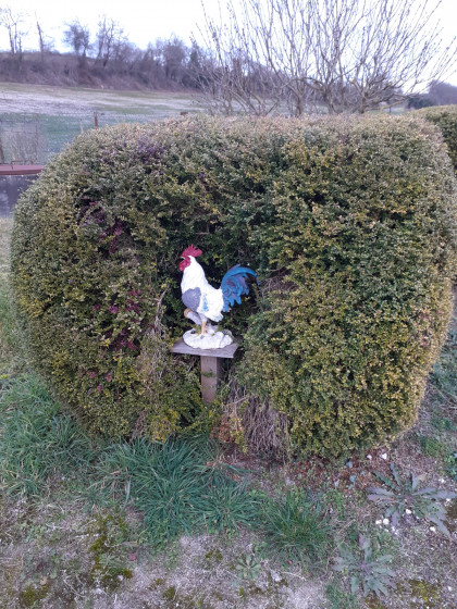 🐓 coq
