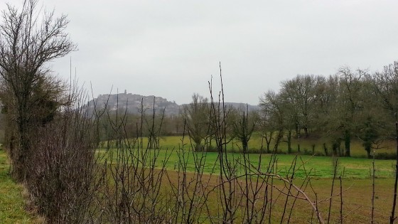Cordes dans la brume du matin