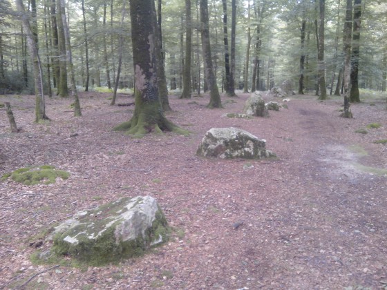 Cordon des Druides