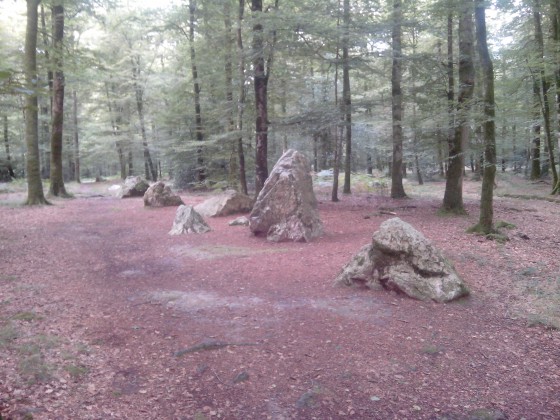 Cordon des Druides