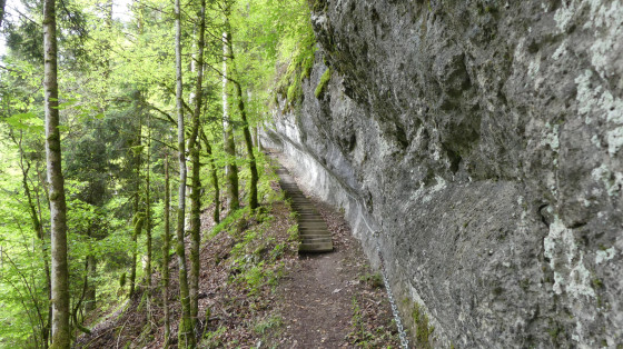 Corridor aux Loups