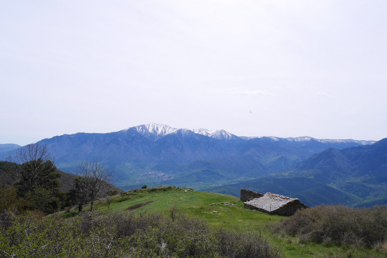 Cortal del Soler