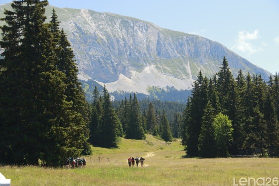 Cortège vers le Grand Veymont
