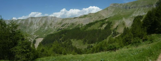 Coste Belle