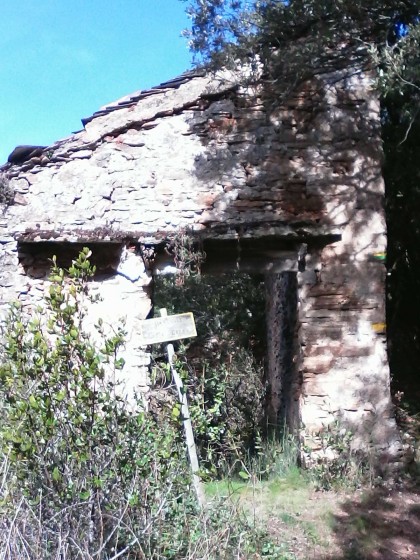 Costo Granié