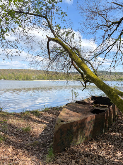 Côté bois