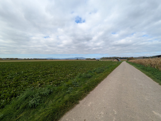Côté rural