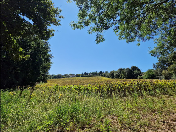 Coteaux de Pechbusque