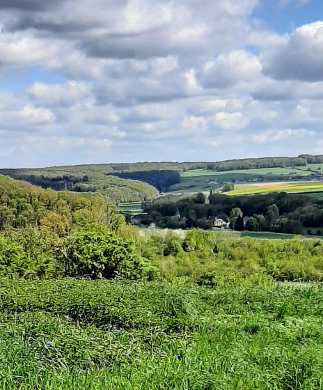 Coteaux environnants