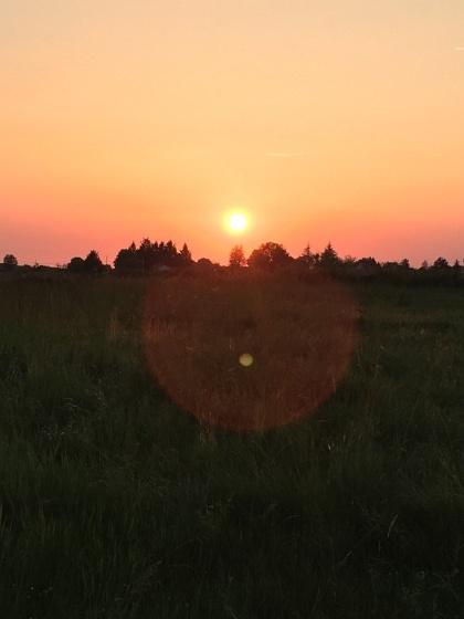 Coucher de soleil dans les vignes.
