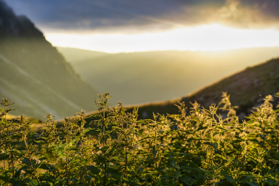 Couché de soleil depuis le refuge de Combe Madame