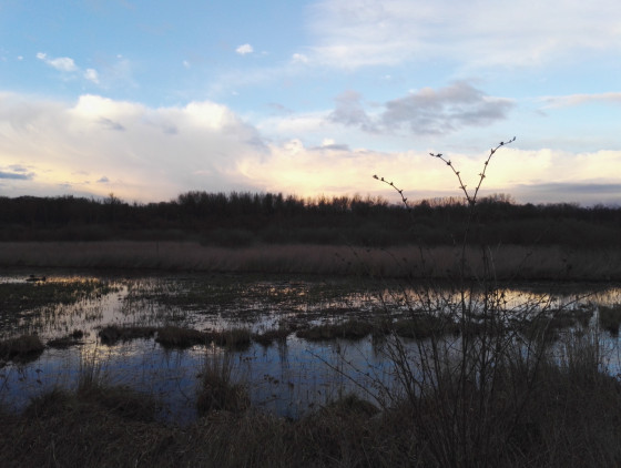 Coucher de soleil sur Rieulay