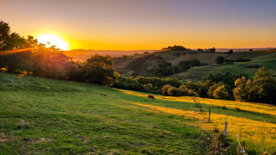 Coucher de soleil