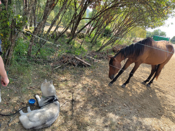 Rencontre