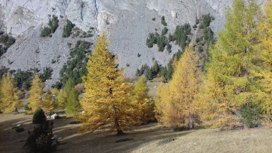 Couleurs d'Automne