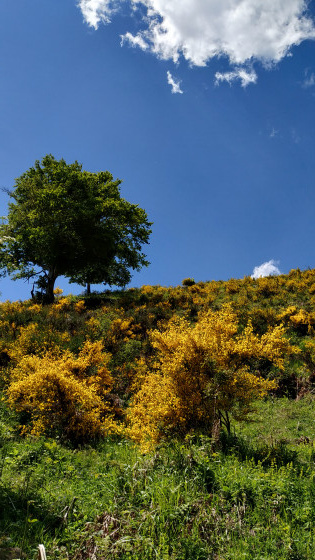 Couleur de printemps