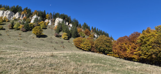 Couleurs d'automne à proximité du refuge de la Molière