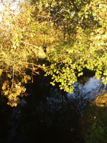 Couleurs d'automne sur l'Ardoux