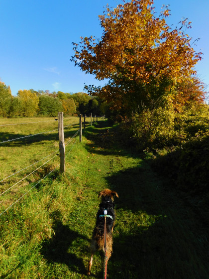 Couleurs d\'automne