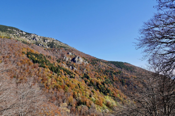 Couleurs d\'automne