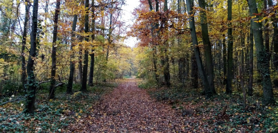 Couleurs d\'automne