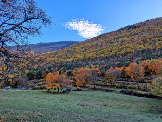 Couleurs d\'automne