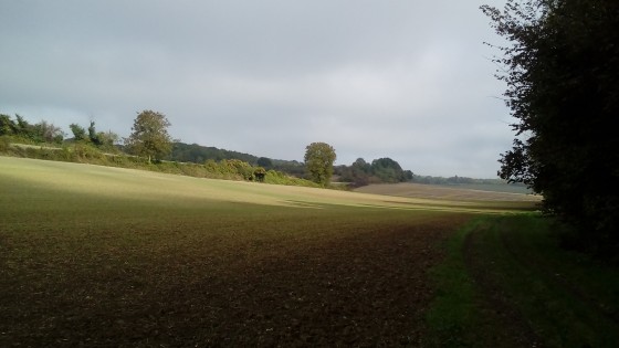 Couleurs d'automne