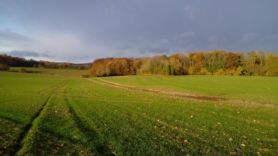 Couleurs d\'automne