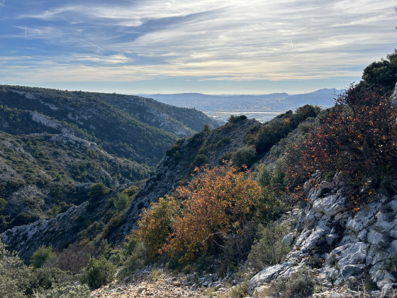 Couleurs d'automne