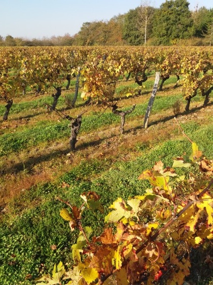 Couleurs d'automne