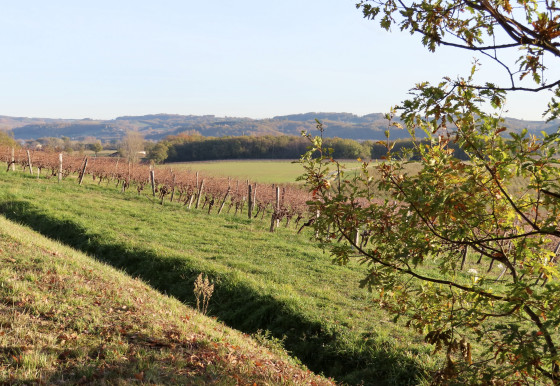 Couleurs d'automne