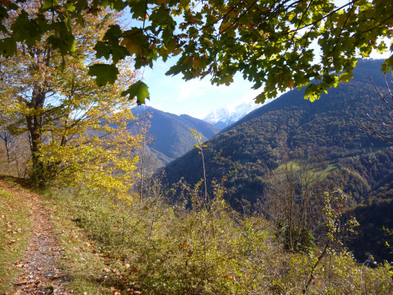 Couleurs d\'automne