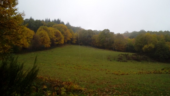 Couleurs d'automne