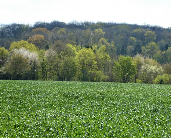 Couleurs de printemps