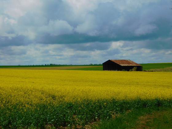 Couleurs de printemps
