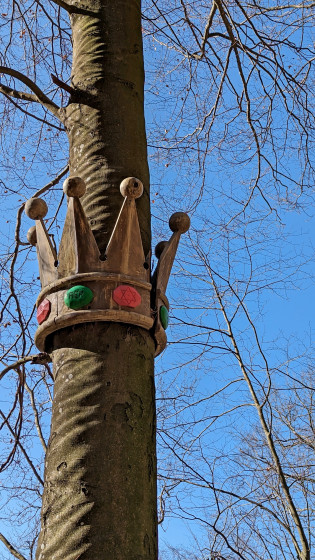 couronne de bois