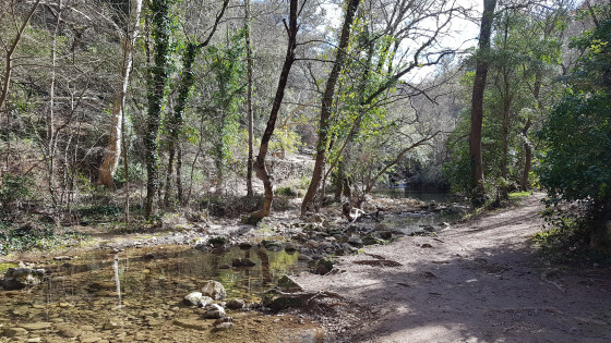 Cours d'eau aux Enanaux