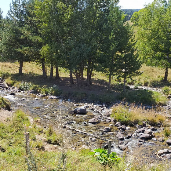 Cours d'eau