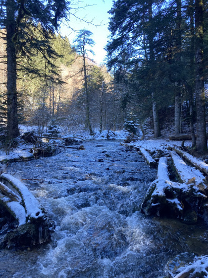 Cours d'eau