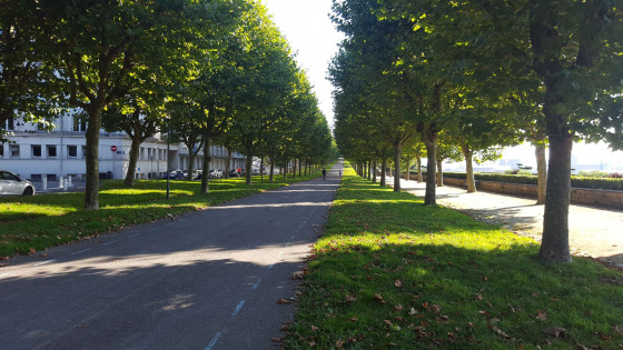 Cours Dajot