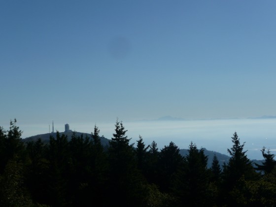 Crêt de l\'Arnica