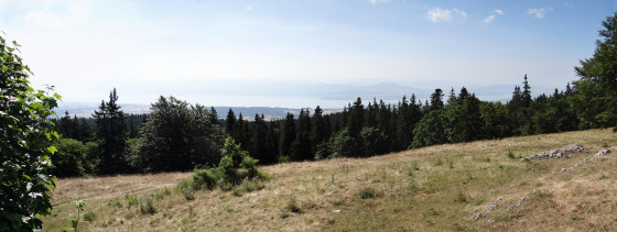 Crêt de la Neuve