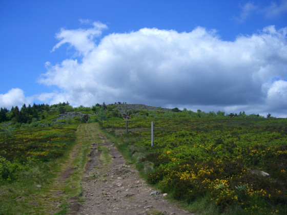 Crêt de la Perdrix